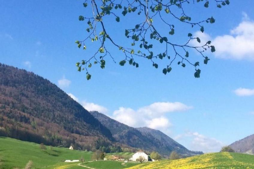 Schafmatthof 1 Obergeschoss - foto 12