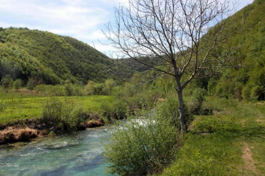 Dalmacija 8 - foto 37