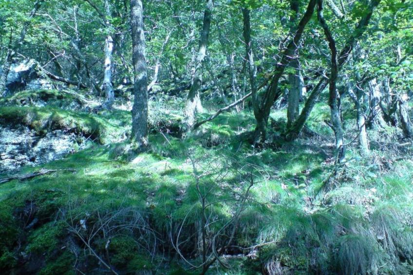 Pilmeroth 20 - foto 29