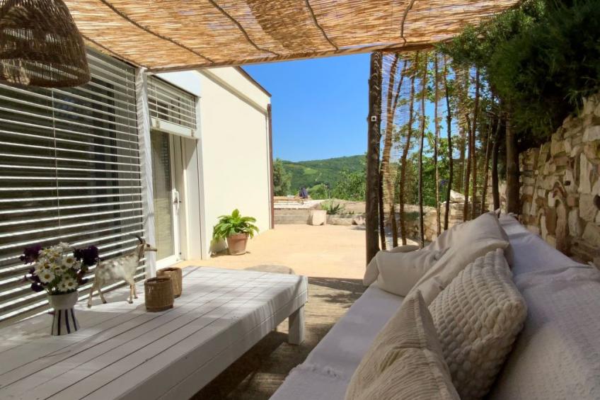 Monte Pino - foto 14