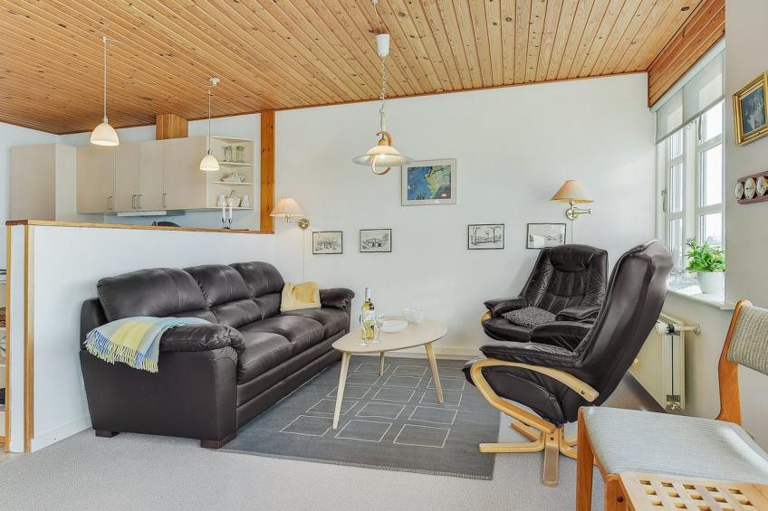 "Palnir" -  from the sea in SE Jutland - foto 27