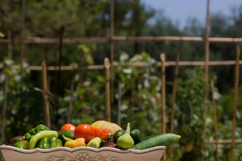 Aneli Luxury Villas, Villa Alexandra 7 Schlafzimmer - foto 22