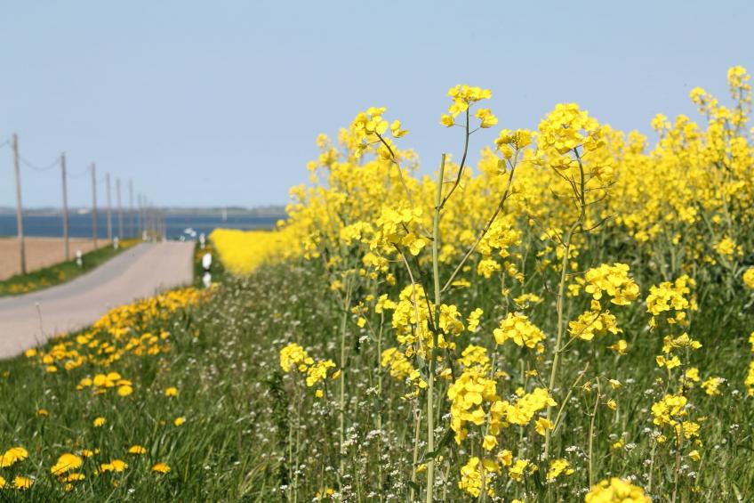 Birkenweg 2 - foto 13