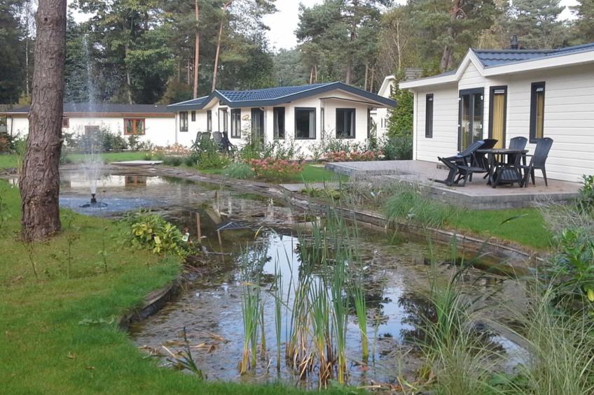 Velthorst 6
