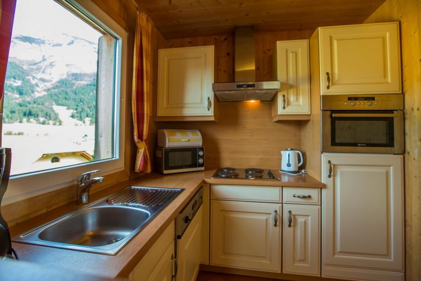 Dachstein Chalet C Haustierfrei - foto 11