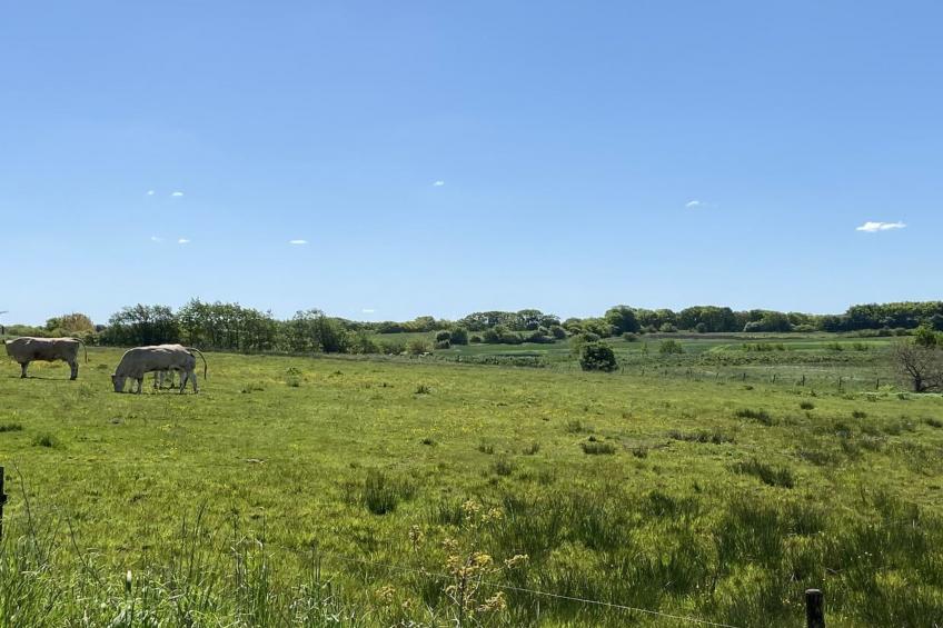 "Grimi" - 36km from the sea - foto 3