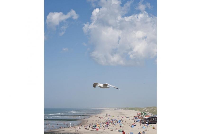71885 - foto 12