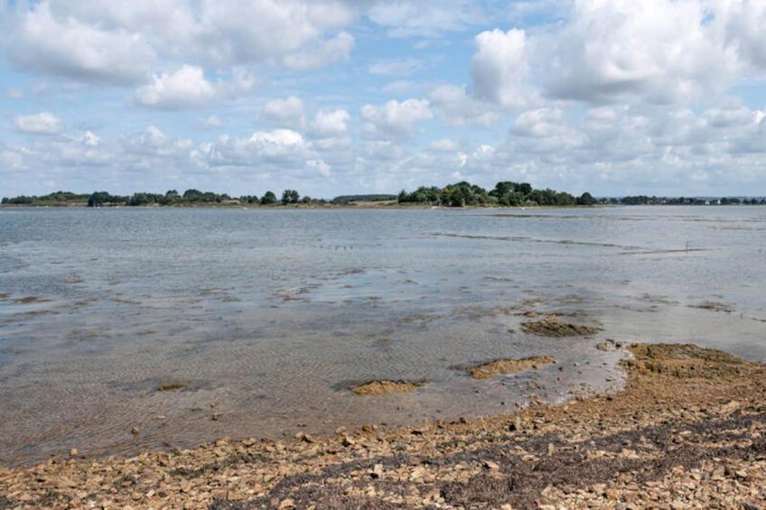 Maison à Saint-Armel - foto 22