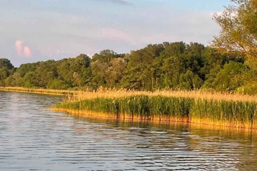 in Dahmen Terrasse und Grill - foto 19