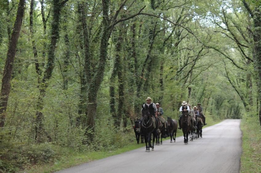 Haus in Civitella Paganico mit möbliertem Garten - foto 25