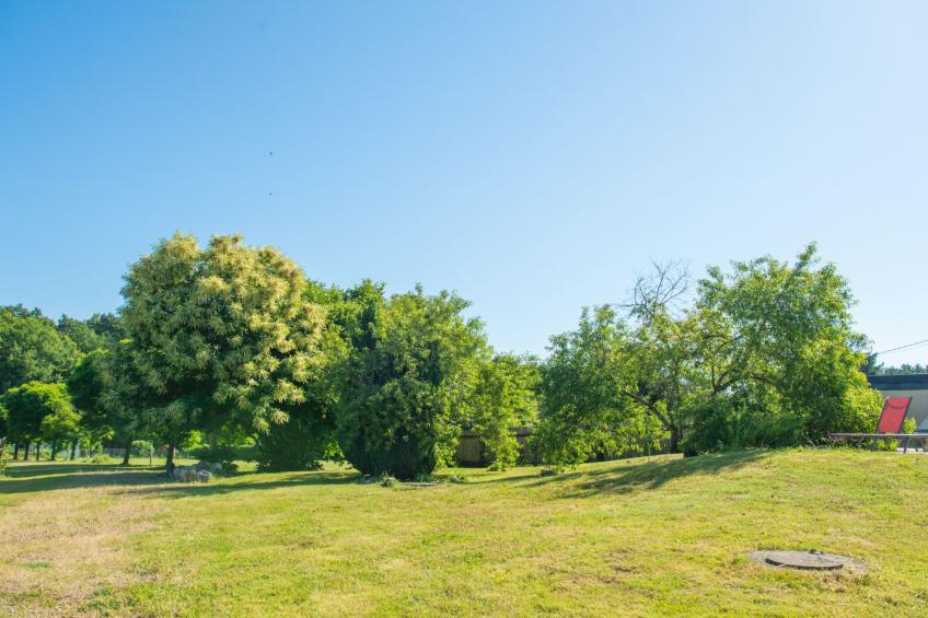 Der Ruf der freien Zone - foto 28