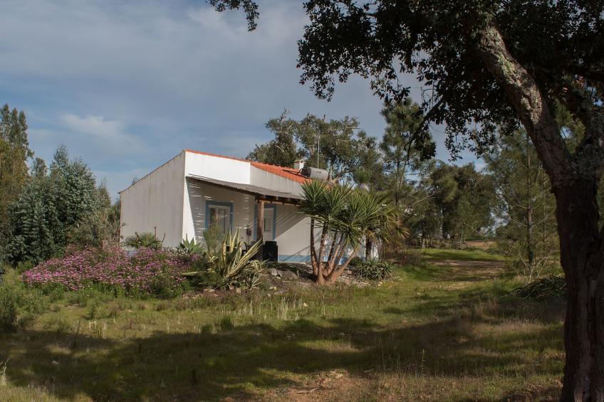 Monte Horizonte Casa Oliveira Öko und Natur - foto 3