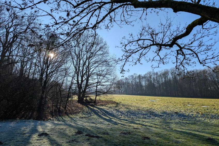 Mercure Hotel - Standard Twin Room - foto 35