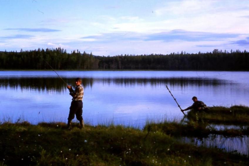 Letafors Herrgård - foto 28