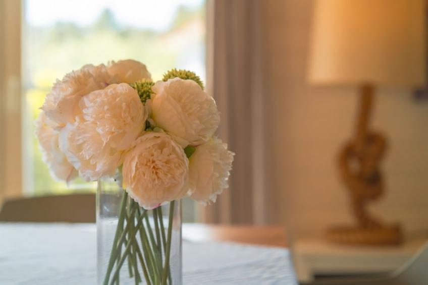 Seewind / 7-8 Personen|Seewind, 7-8 Personen - foto 20