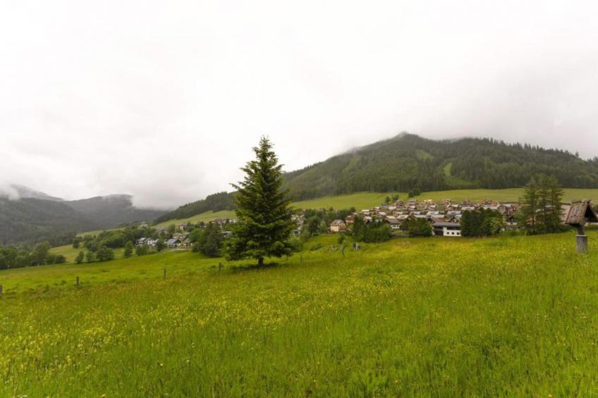 Domus Magnus - foto 38