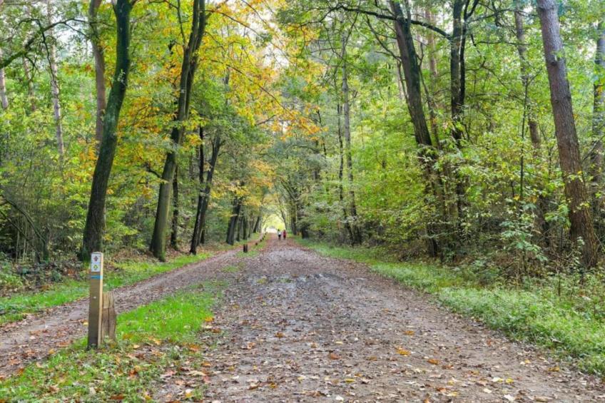 Vakantiepark Hessenheem 3 - foto 26