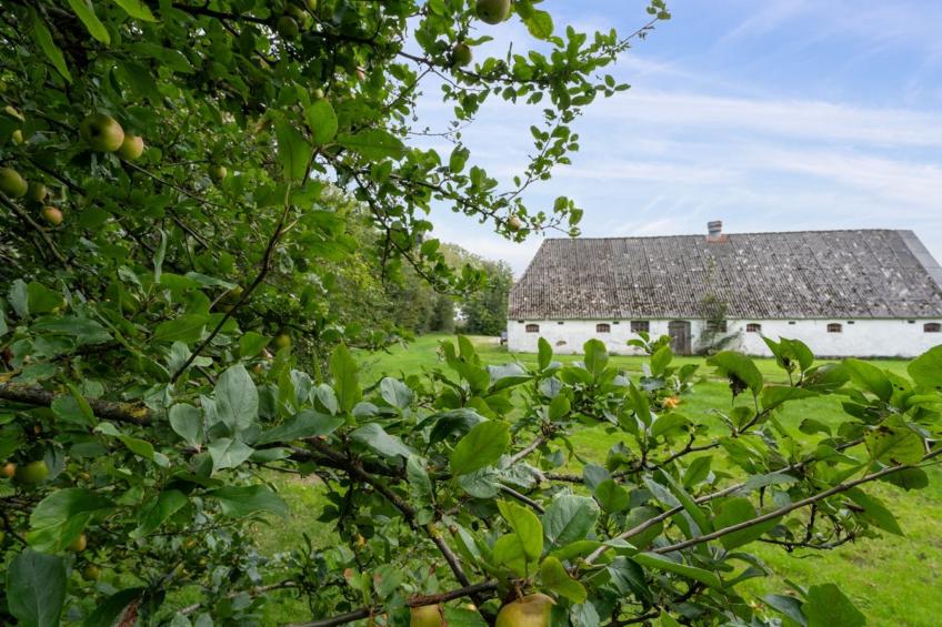 "Landuin" - 30km from the sea in Western Jutland - foto 28