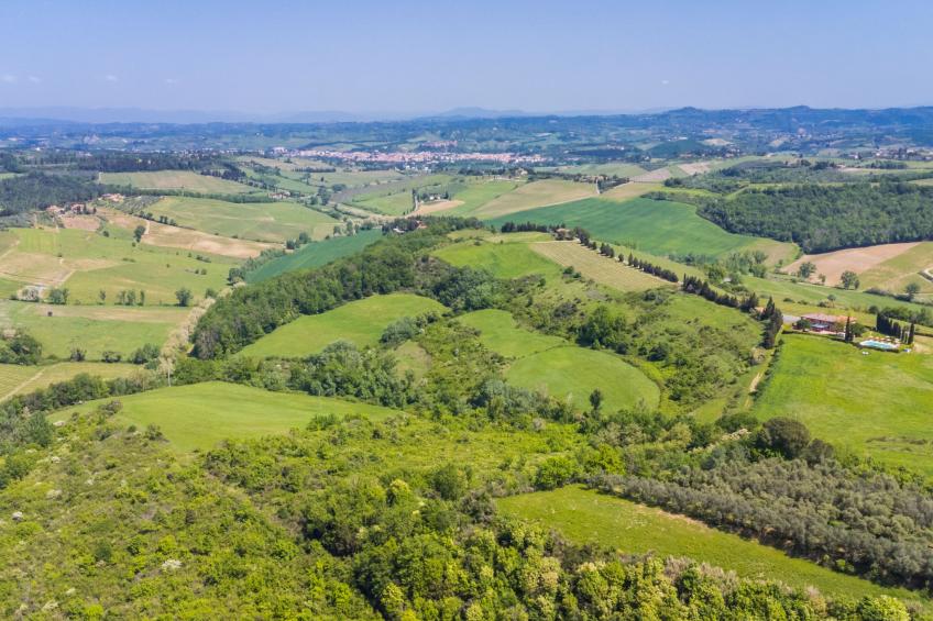 Podere di Mezzo (SGI403) - foto 41