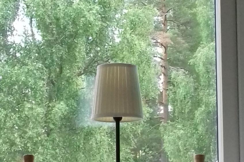 Haus am Waldrand - foto 27