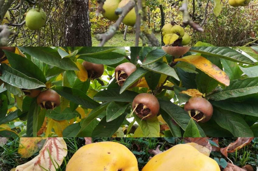 Janet Ratschkowski - foto 36