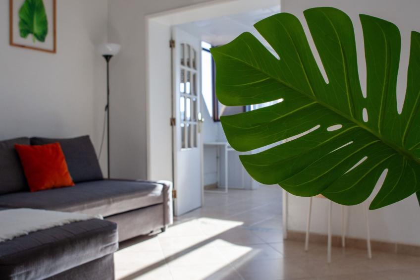 Just4u Wohnung 2 mit AC in der Nähe von Lissabon und Strand - foto 25