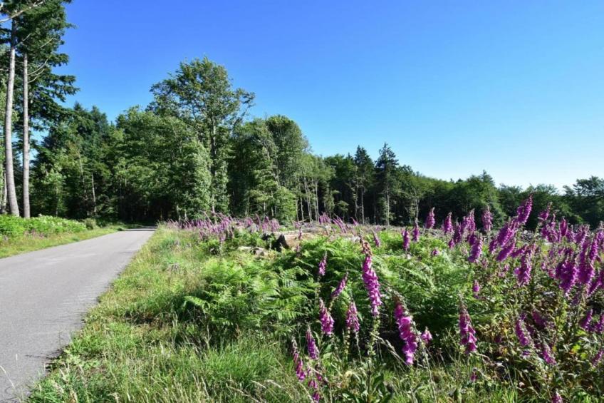 Maison de vacances - TANNAY - foto 36