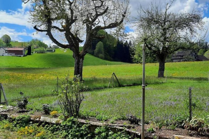 Haus Usziit - Zeit die Seele baumeln zu lassen - foto 29