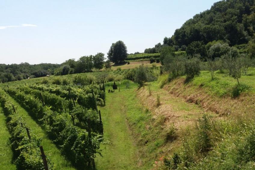 Bauernhof La Bosca - foto 2