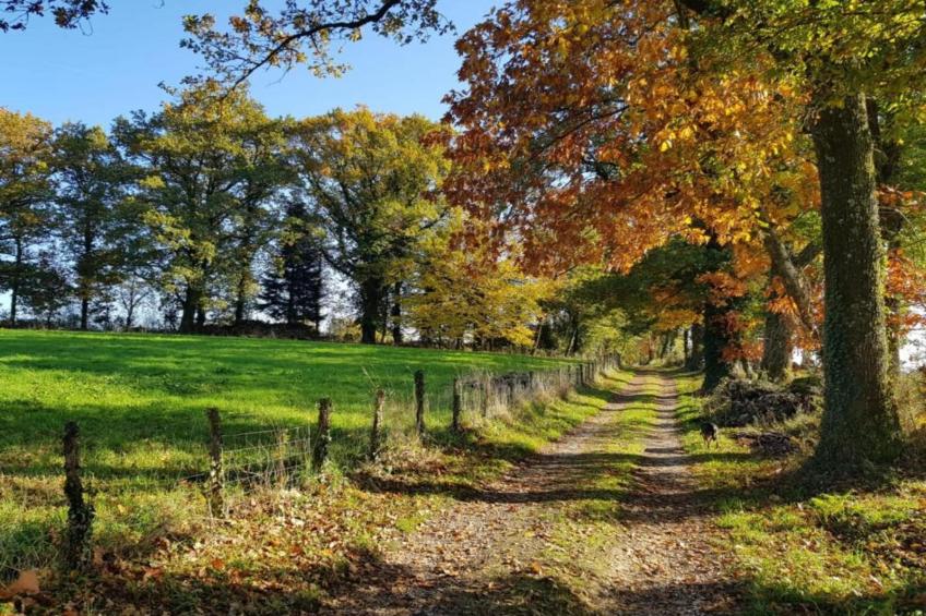 Domaine de Bellac - foto 38