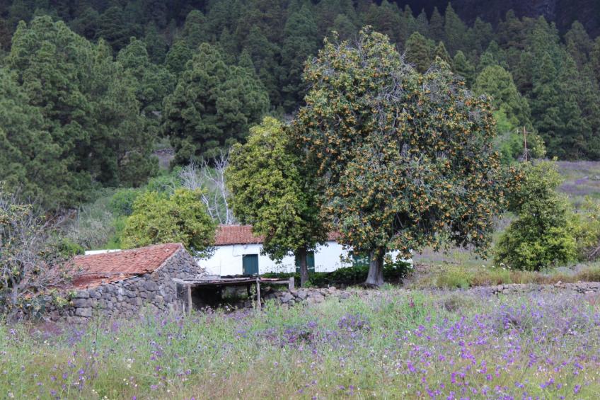 in Monte Breñas mit Grill, Terrasse und Garten - foto 34