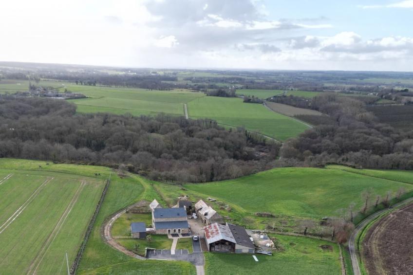 Joli gîte à Corseul - foto 31