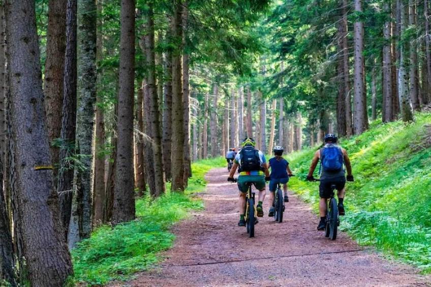 maison de vacances, Choczewo - foto 30