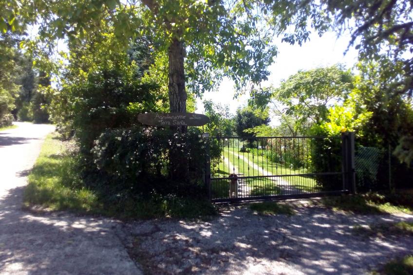 'Allodola' - foto 12