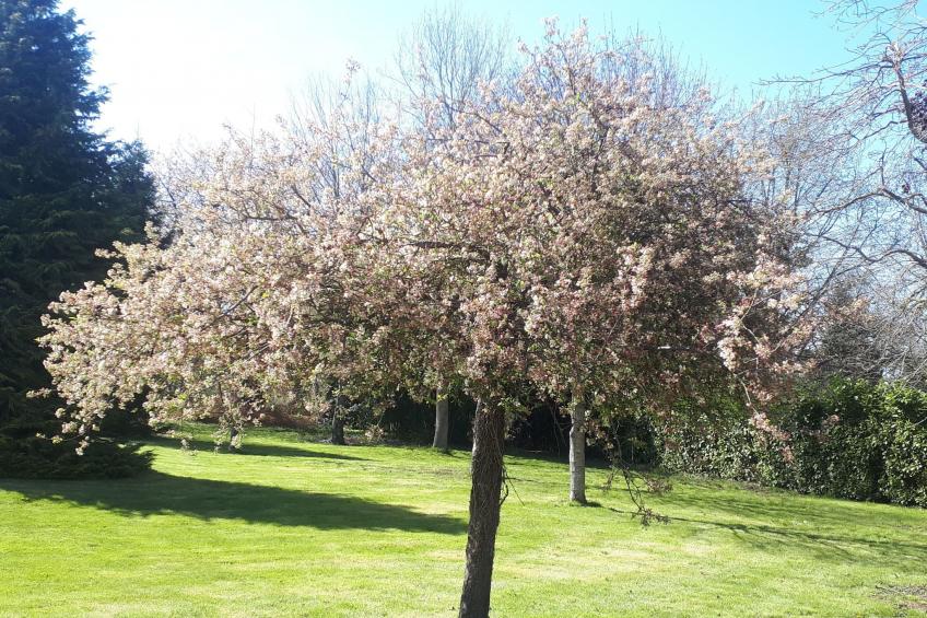 Gite de bon air - foto 25