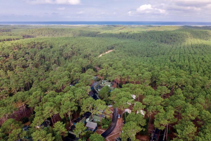 Les Cavales - foto 25