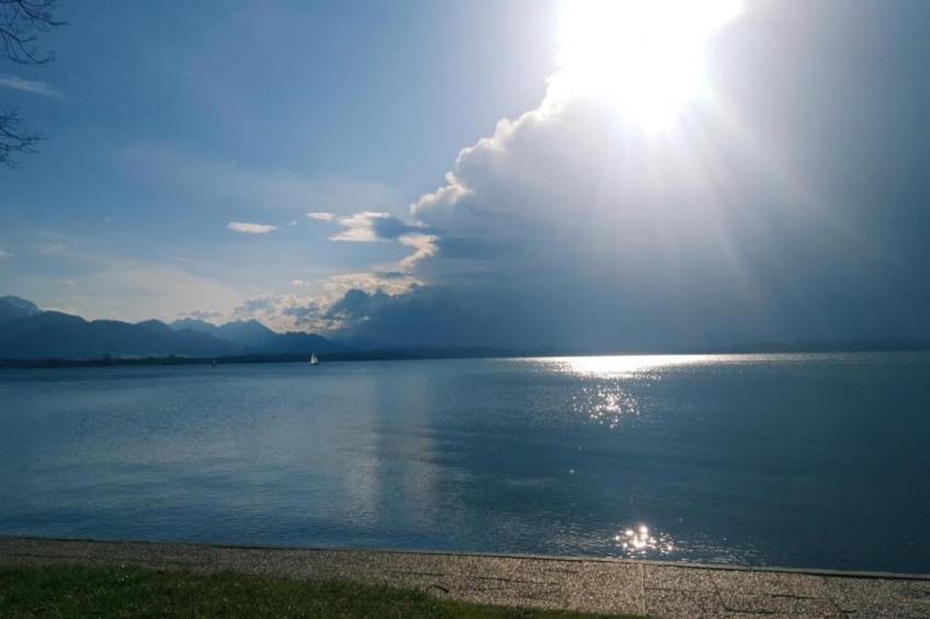 Bauernhaus - foto 20