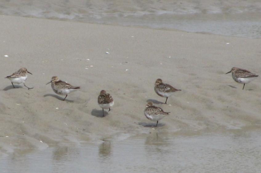 La Bergerie du Festel - foto 28