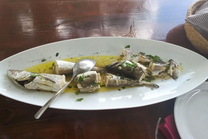 Strandhaus Sofia - Ferienanlage Bain, Žut - Kornati - foto 35