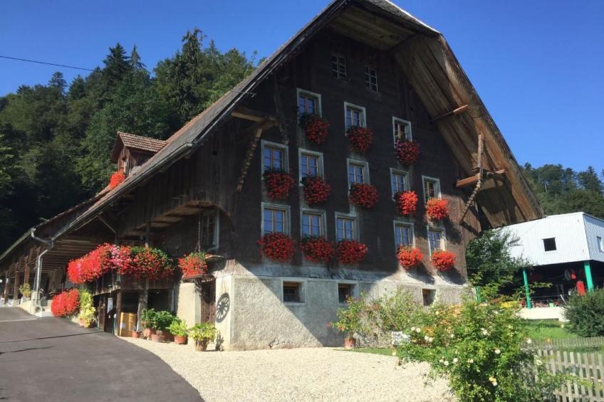 Altes Bauernhaus 1793 in Willisau - foto 18