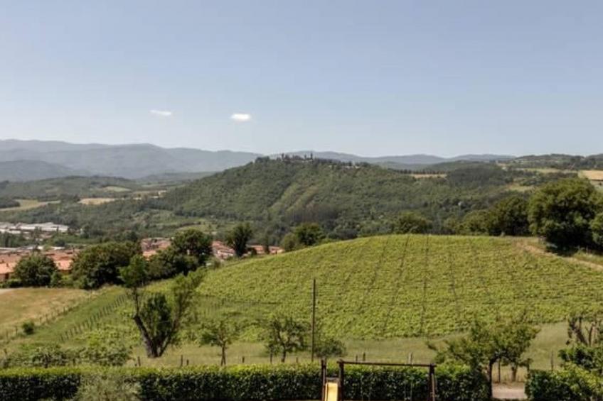 Magnolienhaus mit Pool zwischen Florenz und Arezzo - foto 21