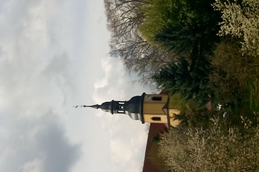 Alte Apotheke - foto 15