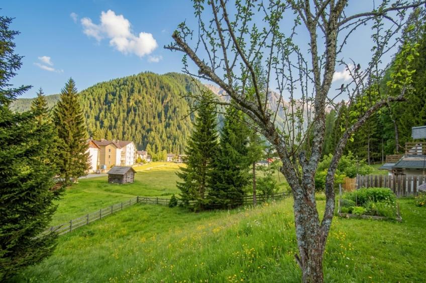 Herz der Tauern - foto 24
