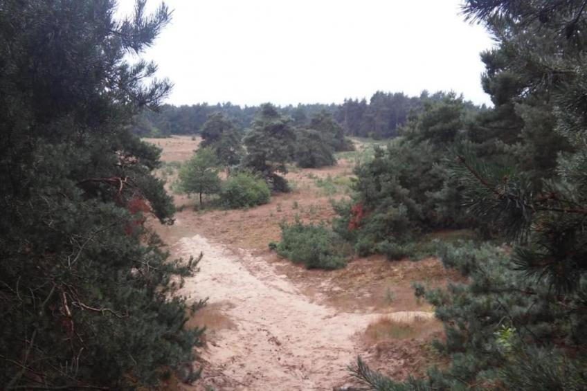 Landgoed De IJsvogel 8 - foto 33