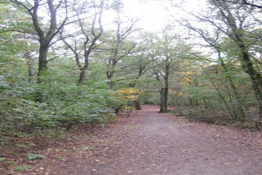 Park De Peel 3 - foto 22