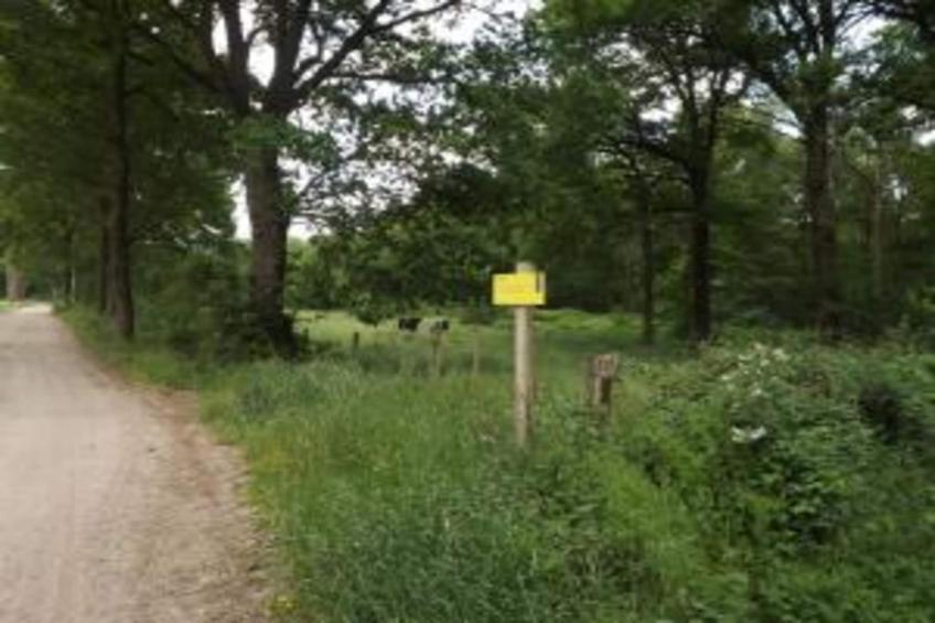 Bungalow 87 - foto 35