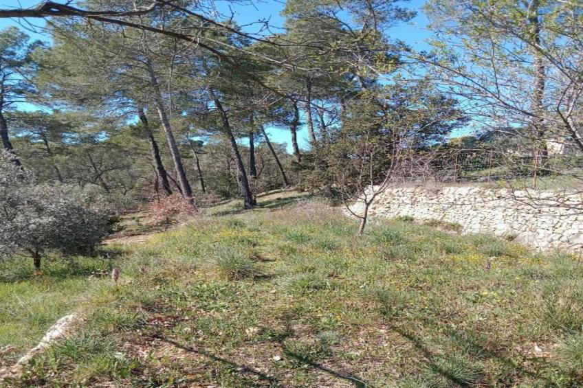 Villa Nakato - foto 37