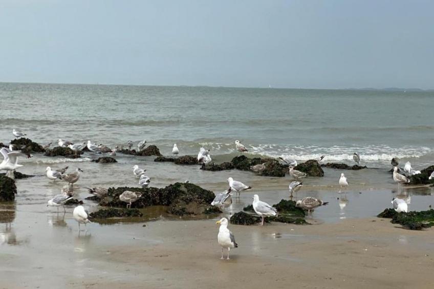 Residentie Belle Rive-51 - foto 11