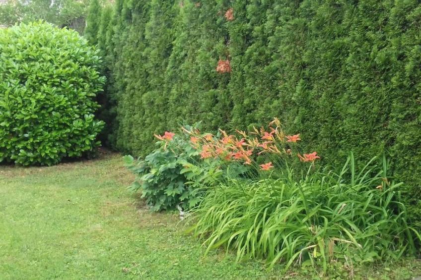 Klimatisiertes Ferienhaus in Bükfürdö mit Garten - foto 5