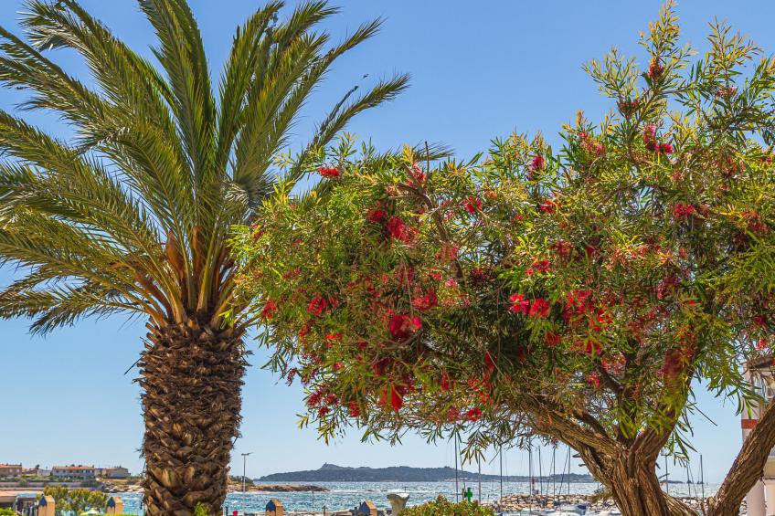 Les Rivages de Coudoulière - foto 31